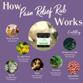 Earthley: Pain Relief Rub 1oz